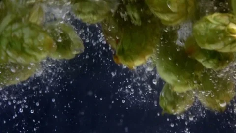 Video of green hops falling into water in real slow motion Stock Footage 79088700