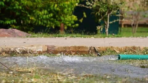 In the video green plastic hose from which water runs on the lawn macro Stock Footage 107935827