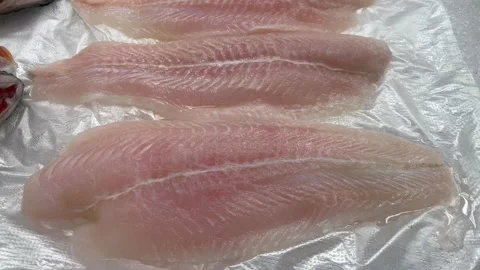 Video of a group of cut salmon in a local market. Stock Footage 256054352