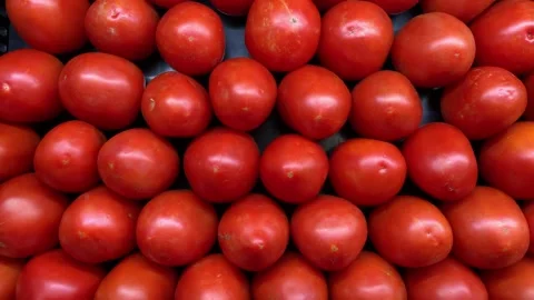Video of group of red tomatoes at a local market. Food and vegetable concept. Stock Footage 255627747