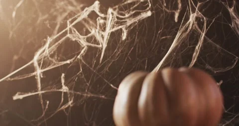 Video of halloween pumpkin with spider's web and copy space on brown background Stock Footage 331307423