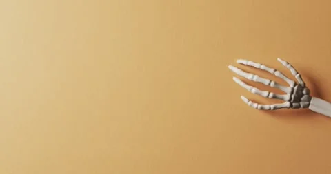 Video of halloween skeleton hands with copy space on orange background Stock Footage 341560157