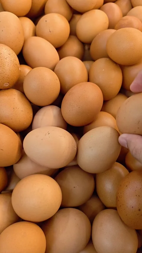 Video of Hand gently picks one egg from a pile of eggs. Stock Footage 343831904