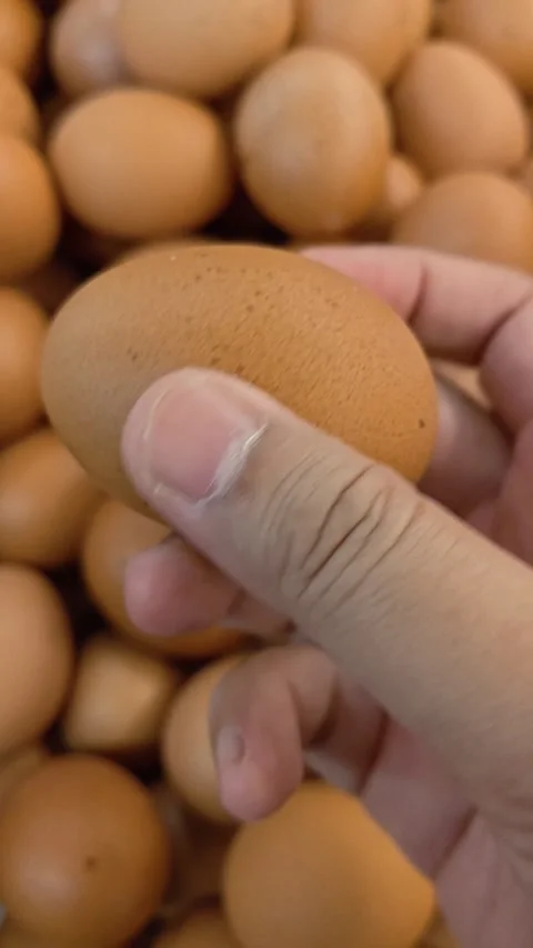 Video of Hand gently picks one egg from a pile of eggs. Stock Footage 343835927