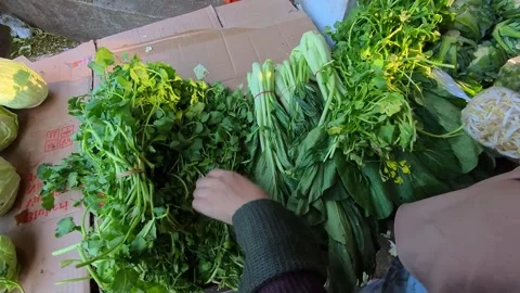 Video of Hand selecting fresh leafy greens at market stall. Stock Footage 336894144