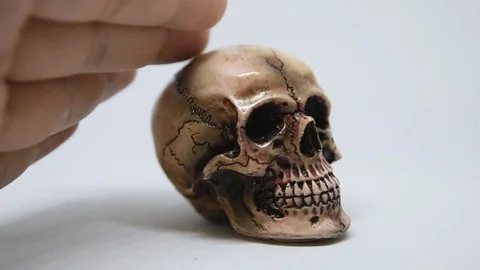 Video hand touching skull on white isolate background Stock Footage 82321787