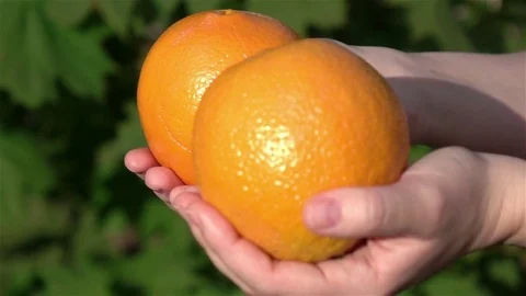 Video of hands holding oranges in real slow motion Stock Footage 79299944
