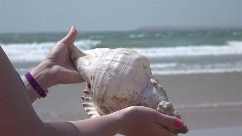 Video of hands holding shell by the ocean in real slow motion Stock Footage 78802667