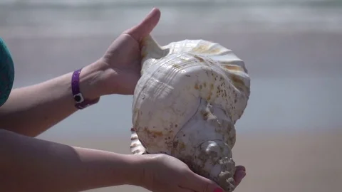 Video of hands holding shell by the ocean in real slow motion Stock Footage 80017973