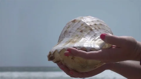 Video of hands holding shell by the ocean in real slow motion Stock Footage 80724556