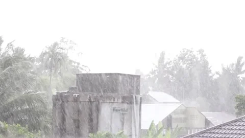 Video of heavy rain drops soaking houses Stock Footage 198201480