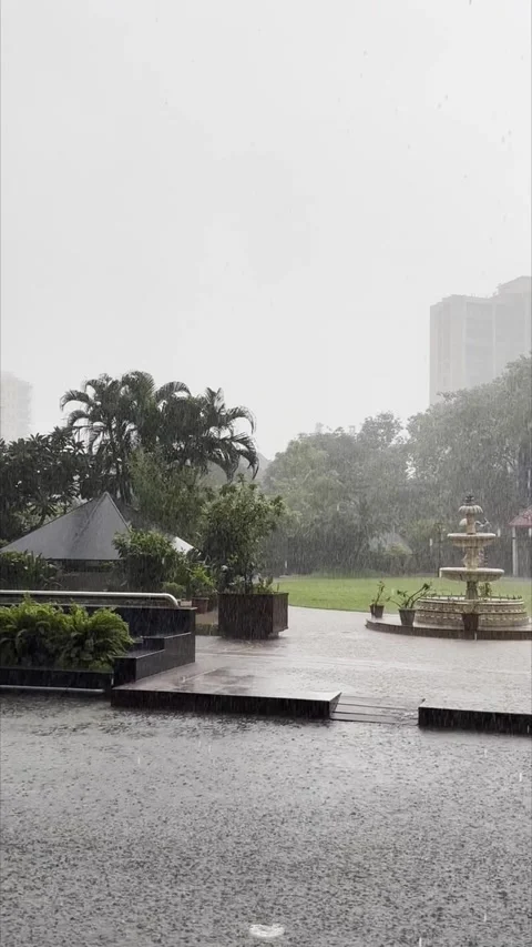 Video of Heavy Rainfall Lowering Visibilty with Natural Ambient Sound of Rai Stock Footage 317079022