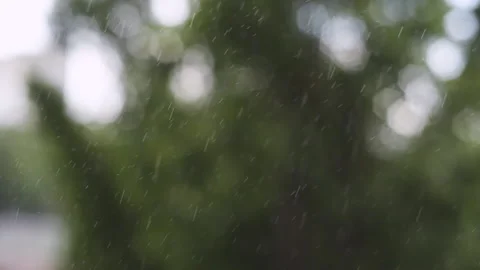 Video of heavy summer or spring rain in countryside landscape. Rain drops isolat Stock Footage 159172508