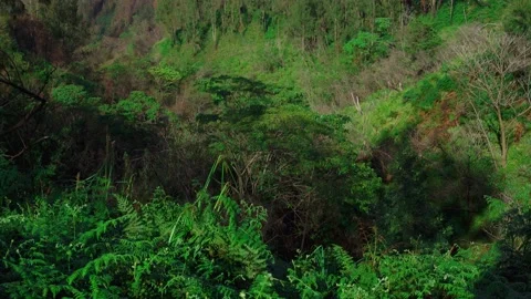 Video of high volcano with clouds on Java island Stock Footage 130590844