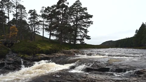 Video of a Highland Stream Stock Footage 165303674