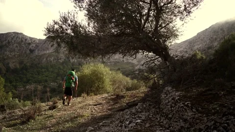 Video of a hiker walking down a tree during golden hour in Mallorca 스톡 동영상 146591958