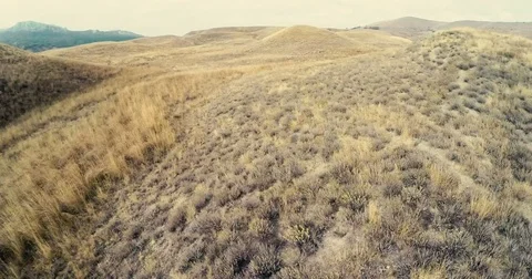 Video of the hillside in autumn Stock Footage 84552959