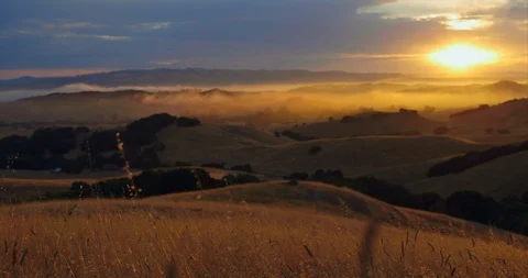 Video of hillside at sunrise. Stock Footage 88377530