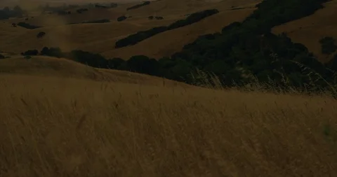 Video of hillside at sunrise. Stock Footage 88377534