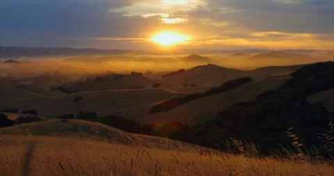 Video of hillside at sunrise. Stock Footage 88377571