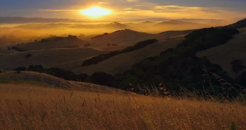 Video of hillside at sunrise. Stock Footage 88377576