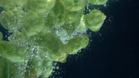 Video of hops falling into water in real slow motion Stock Footage 78904426