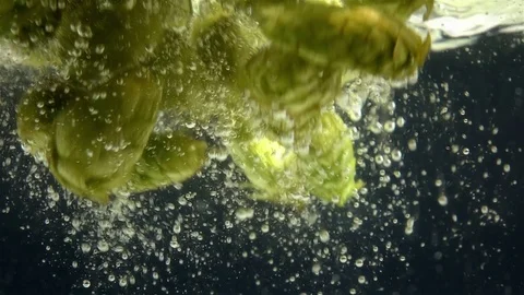 Video of hops falling into water in real slow motion Video stock 80051787