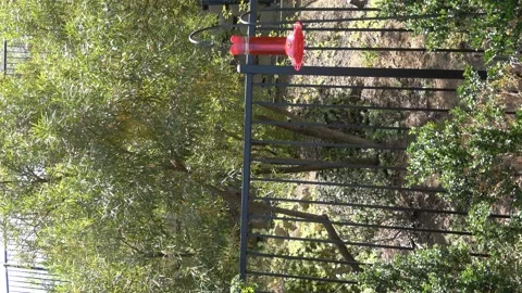 Video Of Hummingbird feeder Stock Footage 139076402