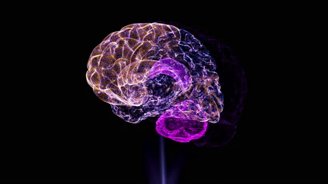 Video Illustration of Scanning the Thought Process of the Brain. Neon Animation Stock Footage 213988311