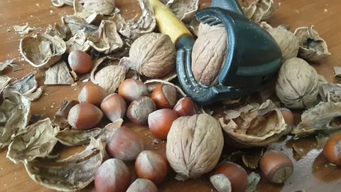 Video image of Walnut and hazelnut cracker on wooden table Stock Footage 171971359