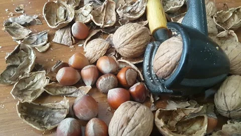 Video image of Walnut and hazelnut cracker on wooden table Stock Footage 171971436