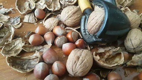 Video image of Walnut and hazelnut cracker on wooden table Stock Footage 171971474