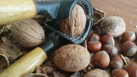 Video image of Walnut and hazelnut cracker on wooden table Stock Footage 171971666
