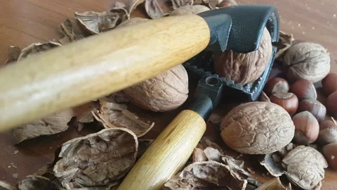 Video image of Walnut and hazelnut cracker on wooden table Stock Footage 171971689