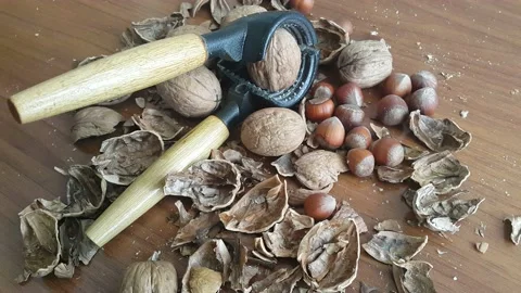 Video image of Walnut and hazelnut cracker on wooden table Stock Footage 171971791