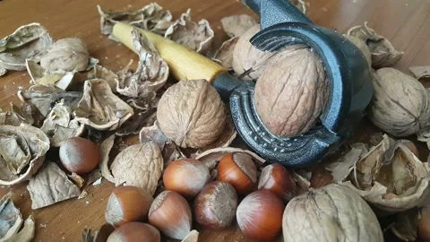 Video image of Walnut and hazelnut cracker on wooden table Stock Footage 171972099
