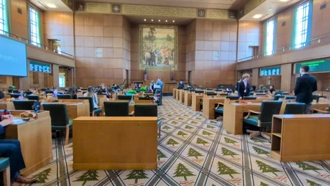 Video inside the Oregon Senate chamber Stock Footage 335779014