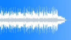 Video IntroStock Music