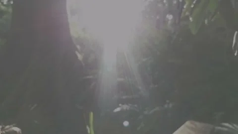 Video jardin botanico Stock Footage 155557946