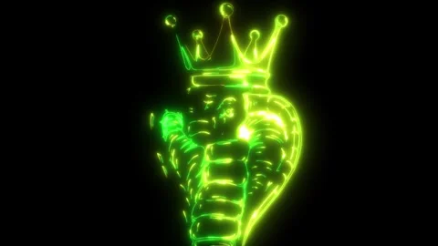 Colt King Cobra Target 22—Our Take