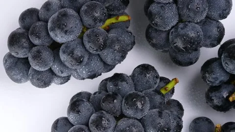 Video of large grapes on white background. Stock Footage 248603509