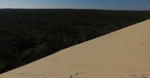Video of the largest sand dune and pine forest, trees top view. Stock Footage 74262566