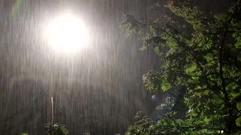 Video of lightning and heavy rain . bad weather. Heavy rain. Lightning Video stock 158763319