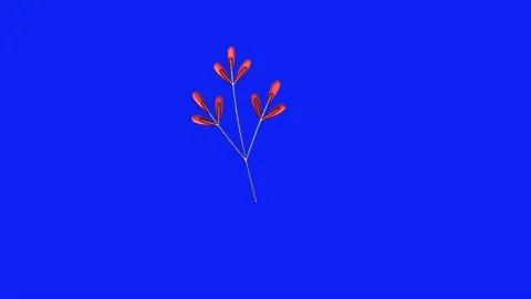 Video loop animation of a moving flower ... | Stock Video | Pond5