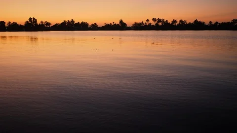 Video loop of tropical backwater lake at sunrise, Kochi, kerala / India Stock Footage 125496552