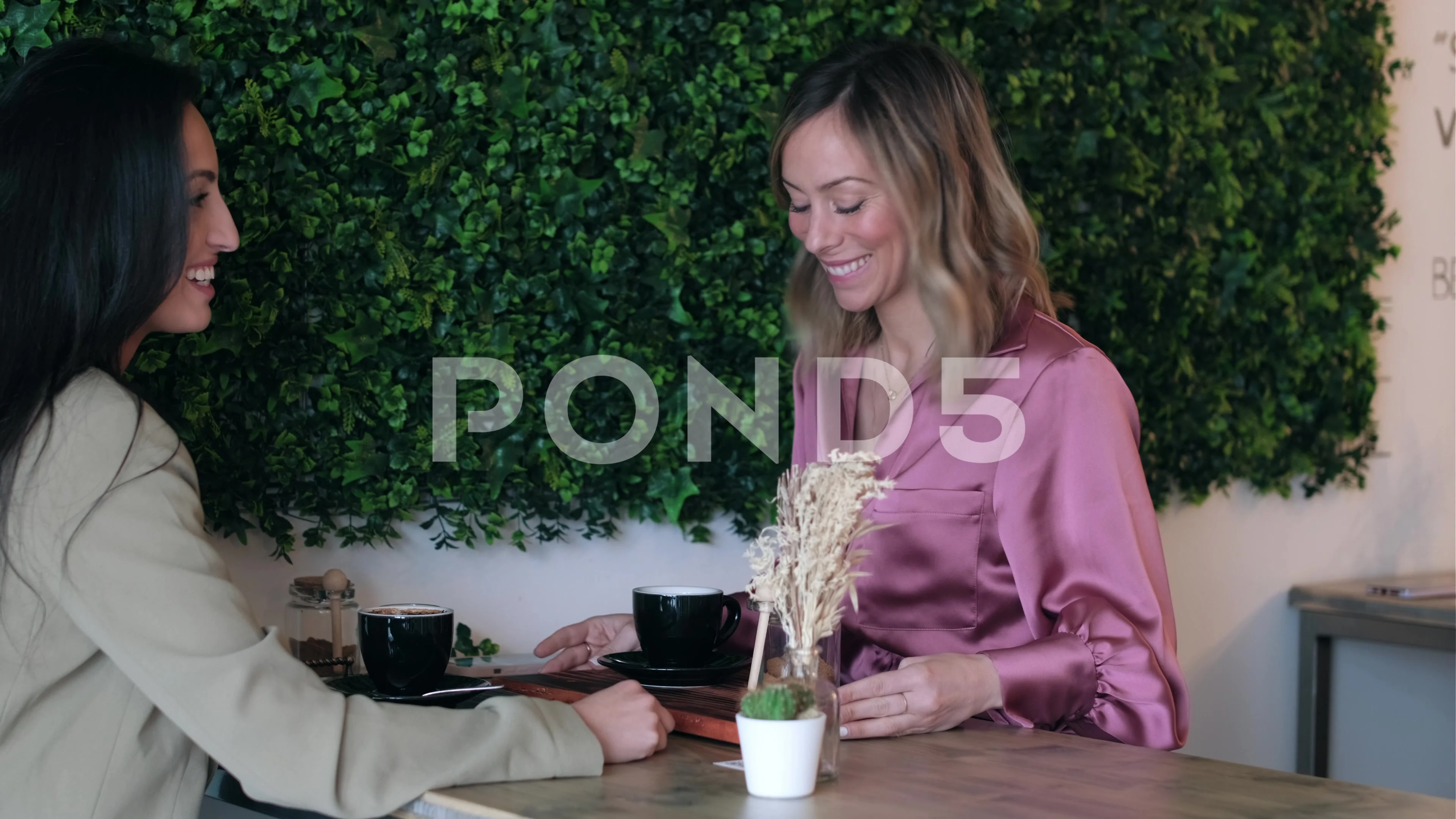 Video of lovely girls couple sharing a brunch together while talking sitting