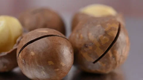 Video of a macadamia nut in its shell Stock Footage 328426216
