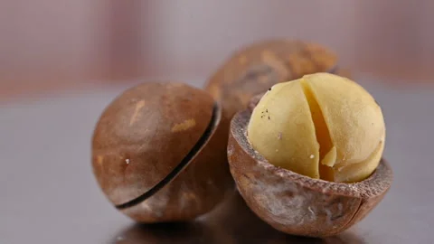 Video of a macadamia nut in its shell Stock Footage 328426288