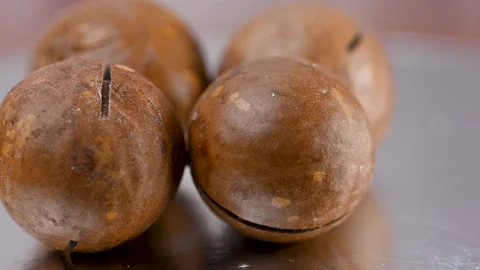 Video of a macadamia nut in its shell Stock Footage 328426334