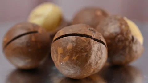 Video of a macadamia nut in its shell Stock Footage 328426383